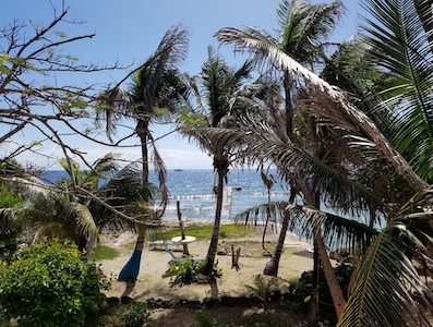 View from Upstairs Rooms